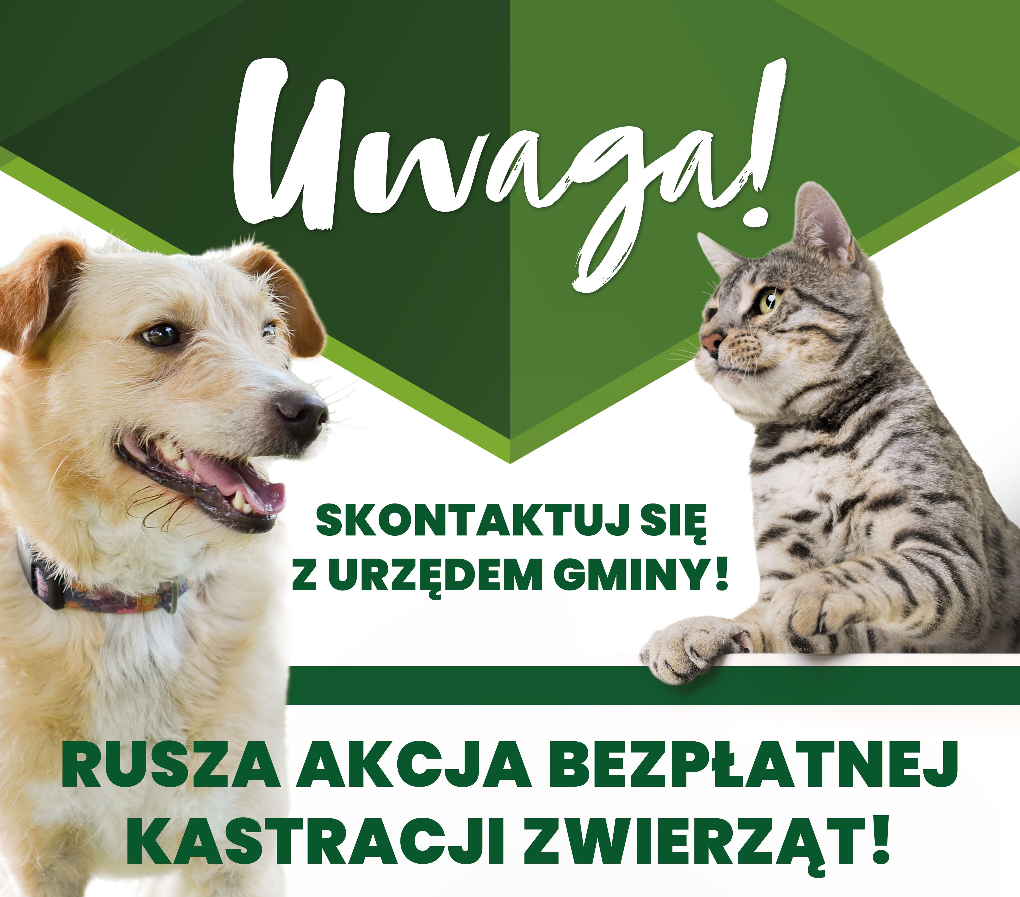 Rusza „ZWIERZowa Akcja Kastracja” w Gminie Milanów!